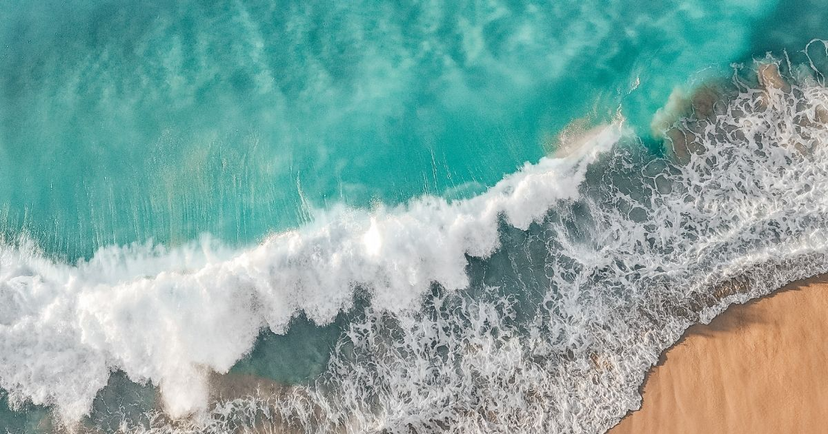 Garder le cap, l'engagement de NGROUP.