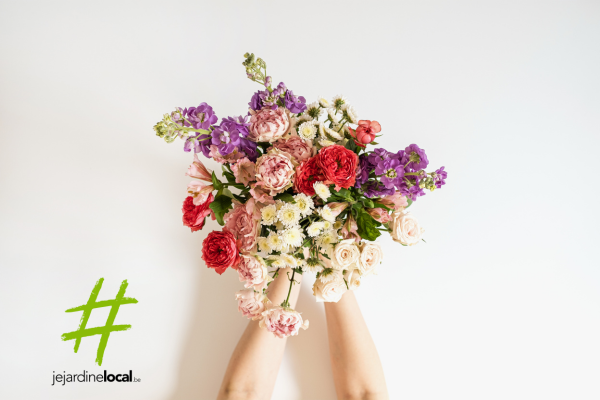 concours apaq fleurs