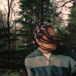 Cover Trees For The Woods - Amie Blu