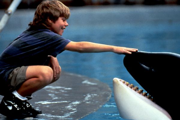 sauvez willy