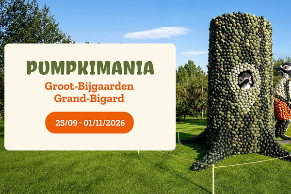 pumpkimania 26 vignette